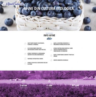 Site prezentare producator afine